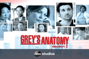 فصل دوم سریال گریز آناتومی Grey's Anatomy